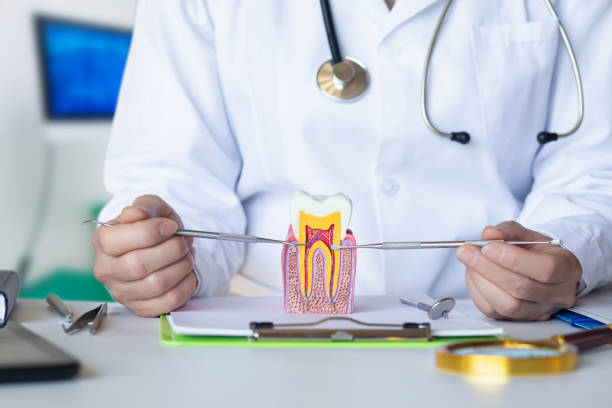 Best Emergency Root Canal Treatment in Baldwin, MI
